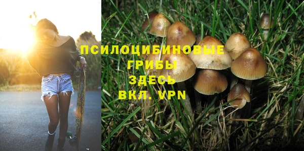 стаф Слюдянка