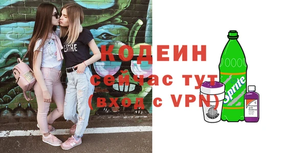 ешки Снежногорск