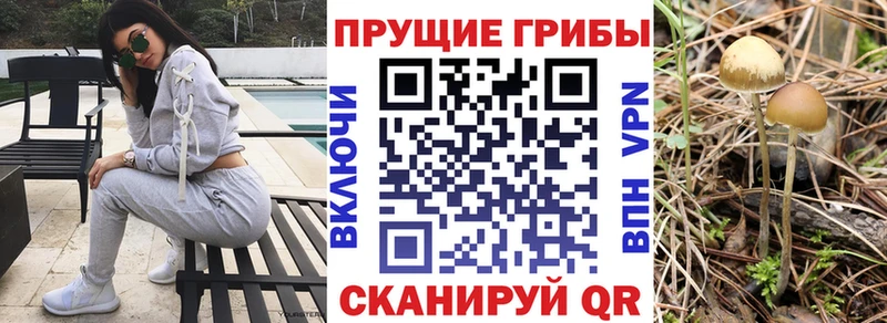 Галлюциногенные грибы Psilocybine cubensis  даркнет телеграм  Кириши 